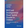 Nvld and Developmental Visual-Spatial Disorder in Children: Clinical Guide to Assessment and Treatment