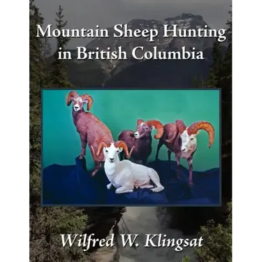 Mountain Sheep Hunting in British Columbia
