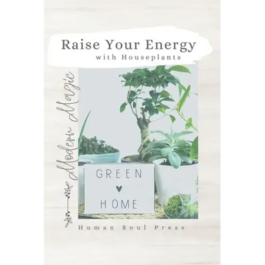 Raise Your Energy with House Plants