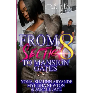 From Section 8 To Mansion Gates: An Urban Romance: Standalone