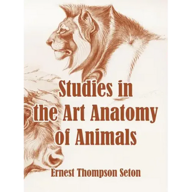 Studies in the Art Anatomy of Animals