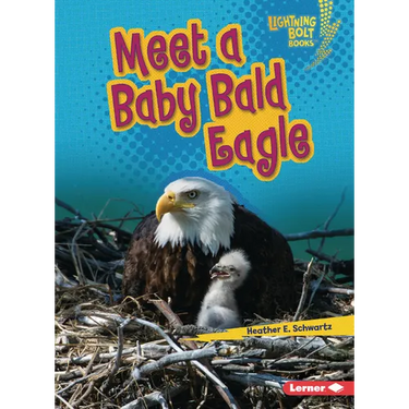 Meet a Baby Bald Eagle