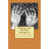 Helping with Spiritual Emergencies: Guiding the Psychonaut through Conversion, Visions, Near Death, Ayahuasca, Rising Kundalini, and Oneness with the