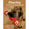 Charley: The First Year of a Standard Schnauzer