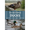 Ducks