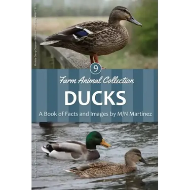 Ducks