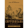 Copperheads: The Rise and Fall of Lincoln's Opponents in the North