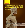 Modeling The Ecorche Human Figure in Clay: A Sculptor's Guide to Anatomy