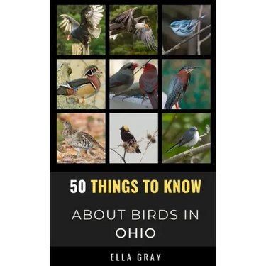 50 Things to Know About Birds in Ohio: Birding in the Buckeye State