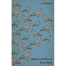 Pigeons and How to Keep Them