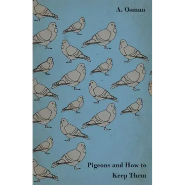 Pigeons and How to Keep Them