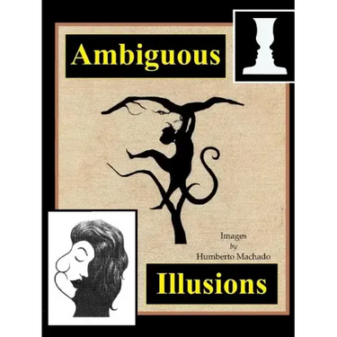 Ambiguous Illusions