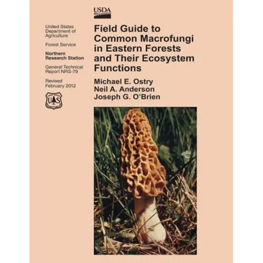 Field Guide to Common Macrofungi in Eastern Forests and Their Ecosystem Functions