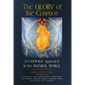 The Glory of the Cosmos: A Catholic Approach to the Natural World