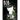 Bob: A Cat with Four Ears Who Thinks He Is a Dog