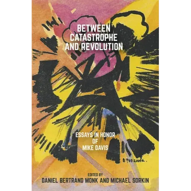 Between Catastrophe and Revolution: Essays in Honor of Mike Davis