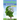 Genealogy: DNA And The Family Tree