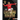 Meet Cristiano Ronaldo: World Cup Soccer Superstar