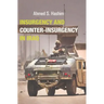 Insurgency and Counter-Insurgency in Iraq