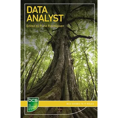 Data Analyst: Careers in data analysis