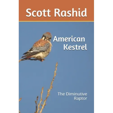 The American Kestrel: The Diminutive Raptor