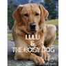 Lulu & The Noisy Dog