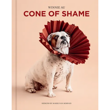 Cone of Shame