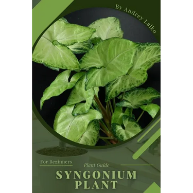 Syngonium Plant: Plant Guide