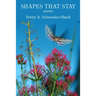 Shapes That Stay