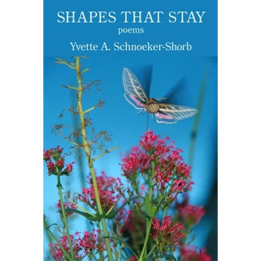 Shapes That Stay