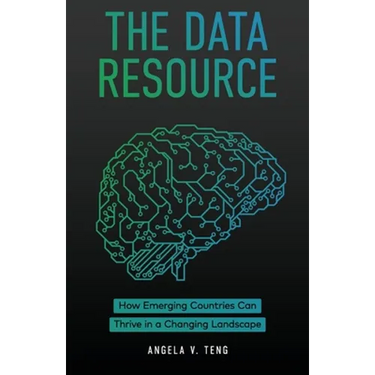 The Data Resource: How Emerging Countries Can Thrive in a Changing Landscape