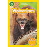 Wolverines (National Geographic Kids Readers, Level 3)