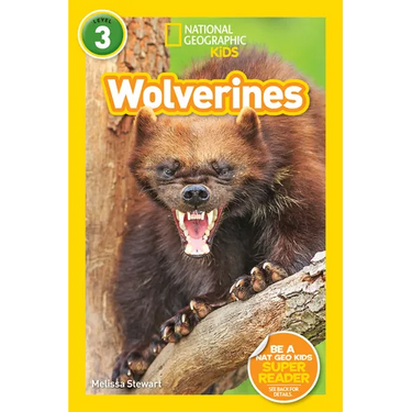 Wolverines (National Geographic Kids Readers, Level 3)