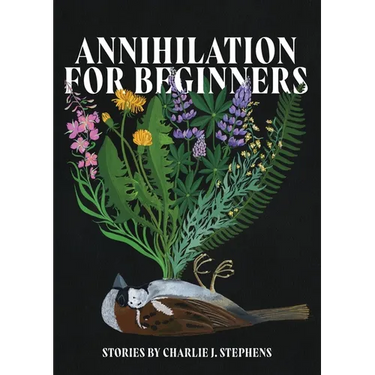 Annihilation for Beginners