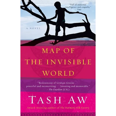 Map of the Invisible World
