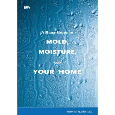 A Brief Guide to Mold, Moisture, and Your Home