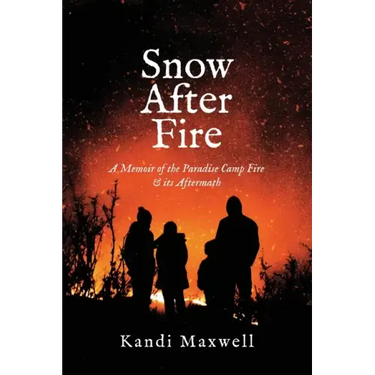 Snow After Fire