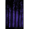 Night Vision