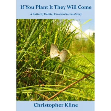 If You Plant It They Will Come: A Butterfly Habitat Creation Success Story