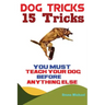 Dog Tricks: 15 Tricks You Must Teach Your Dog before Anything Else