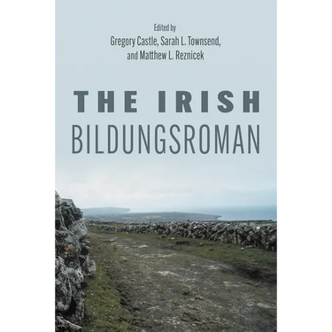 The Irish Bildungsroman