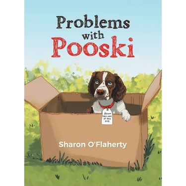 Problems with Pooski