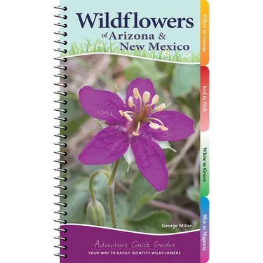 Wildflowers of Arizona & New Mexico: Your Way to Easily Identify Wildflowers