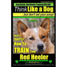 Red Heeler, Red Heeler Training AAA AKC: Think Like a Dog, but Don't Eat Your Poop! Red Heeler Breed Expert Training: Here's EXACTLY How to Train Your