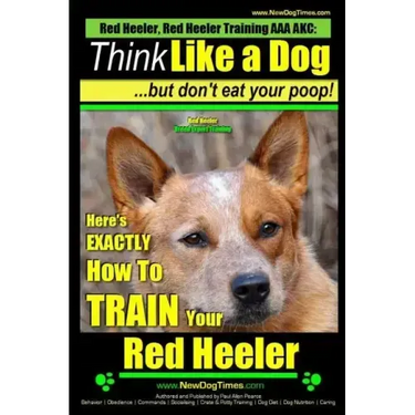Red Heeler, Red Heeler Training AAA AKC: Think Like a Dog, but Don't Eat Your Poop! Red Heeler Breed Expert Training: Here's EXACTLY How to Train Your