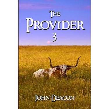 The Provider 3
