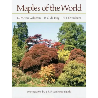 Maples of the World