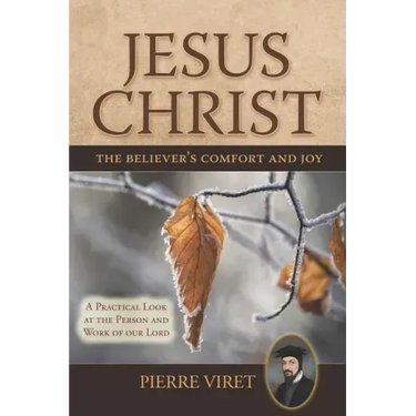 Jesus Christ the Believer's Comfort and Joy: A Practical Look at the Person and Work of Our Lord