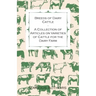 Breeds of Dairy Cattle - A Collection of Articles on Varieties of Cattle for the Dairy Farm