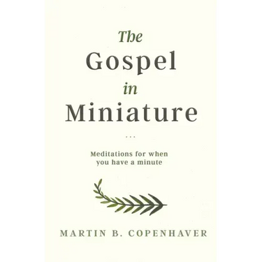 The Gospel in Miniature: Meditations for When You Have a Minute